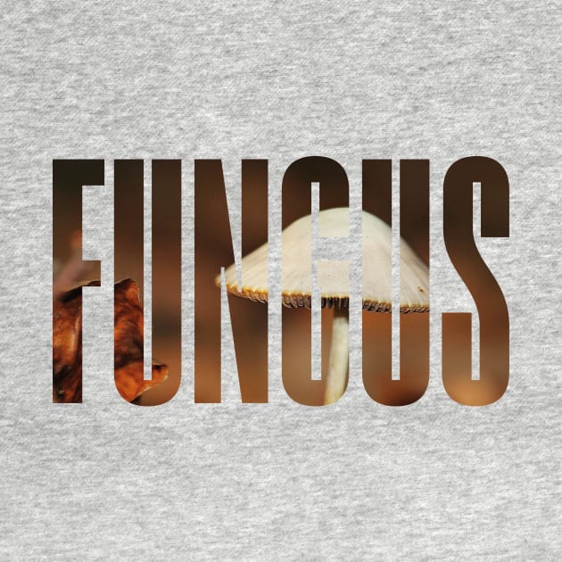 Fungus Text by bluerockproducts